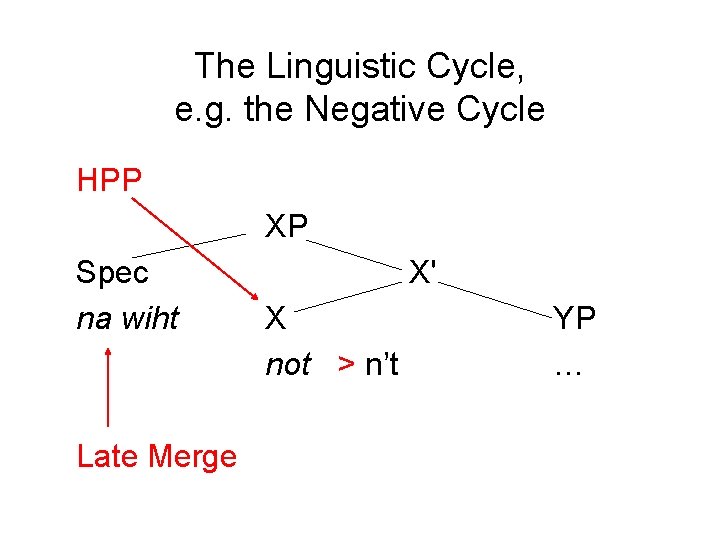 The Linguistic Cycle, e. g. the Negative Cycle HPP XP Spec na wiht Late