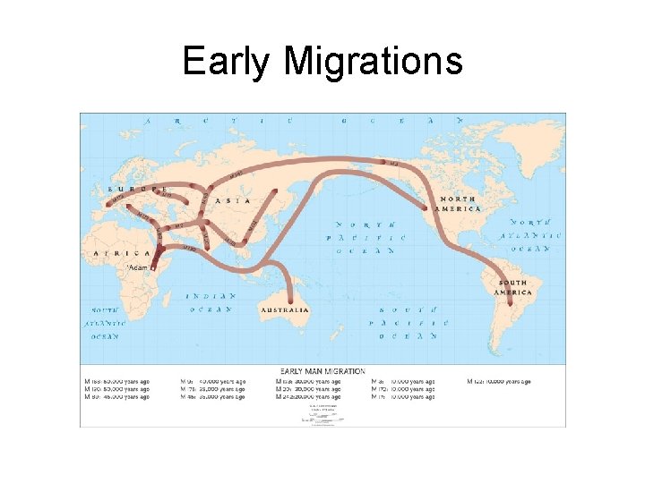 Early Migrations 