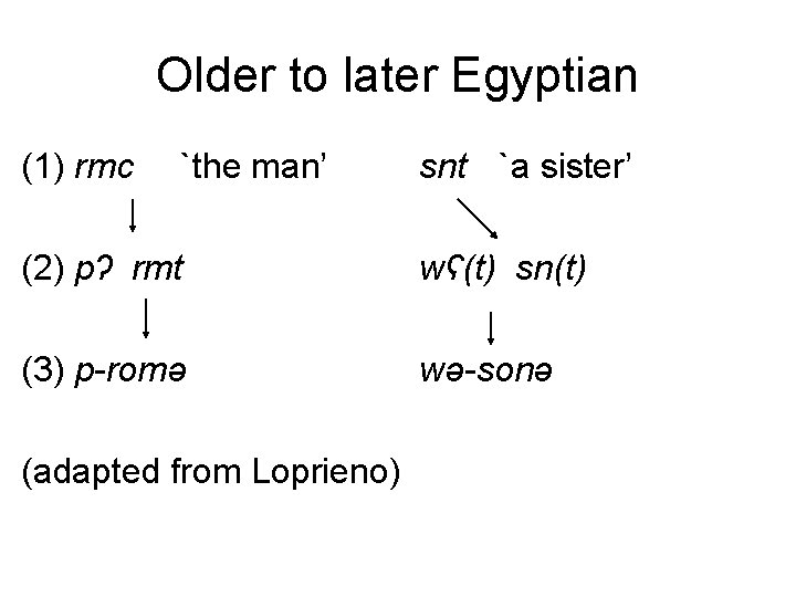 Older to later Egyptian (1) rmc `the man’ snt `a sister’ (2) pʔ rmt