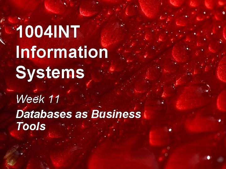 1004 INT Information Systems Week 11 Databases as Business Tools 