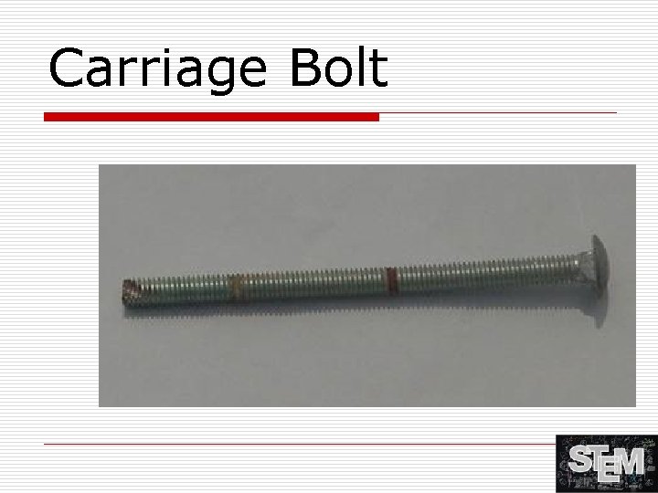 Carriage Bolt 