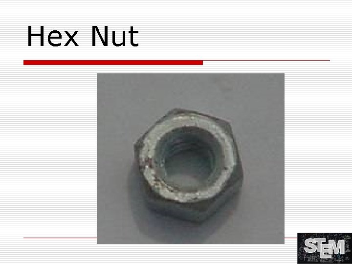 Hex Nut 