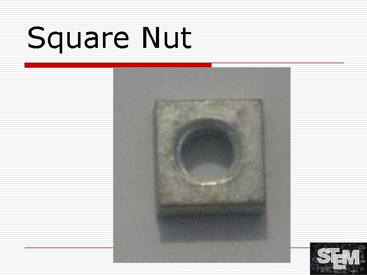 Square Nut 