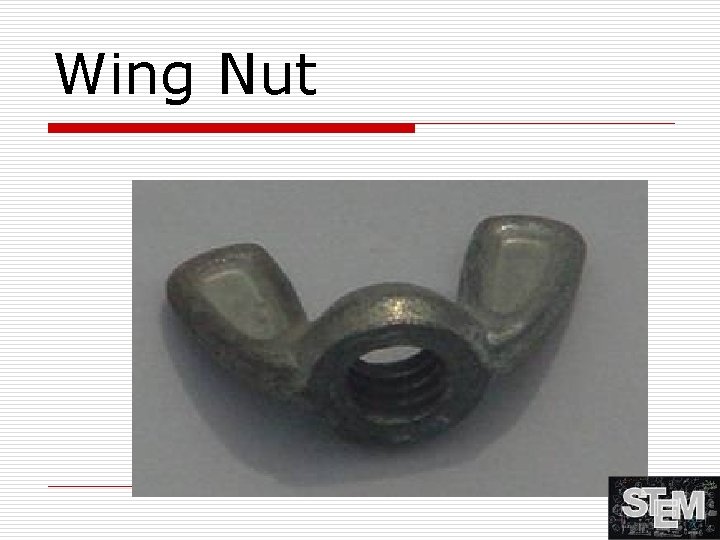 Wing Nut 