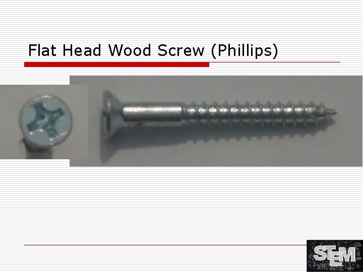Flat Head Wood Screw (Phillips) 