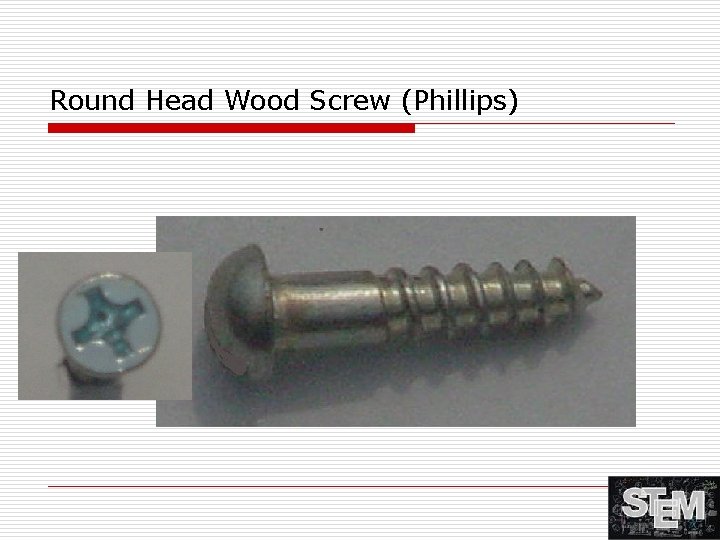 Round Head Wood Screw (Phillips) 