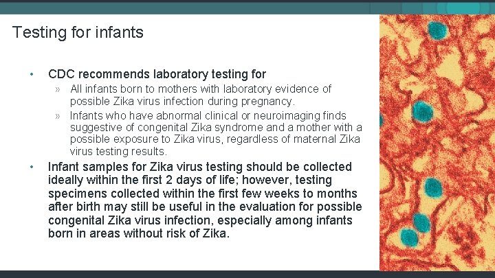 Testing for infants • CDC recommends laboratory testing for » All infants born to