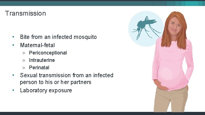 Transmission • Bite from an infected mosquito • Maternal-fetal » Periconceptional » Intrauterine »