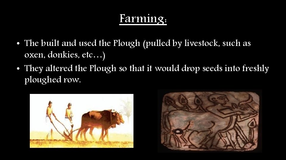 Farming: • The built and used the Plough (pulled by livestock, such as oxen, Farming: • The built and used the Plough (pulled by livestock, such as oxen,