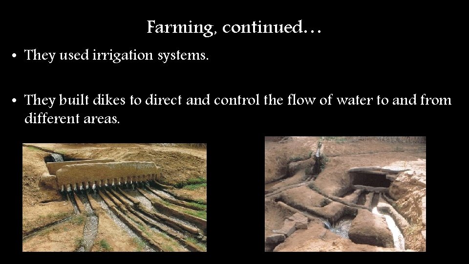 Farming, continued… • They used irrigation systems. • They built dikes to direct and Farming, continued… • They used irrigation systems. • They built dikes to direct and