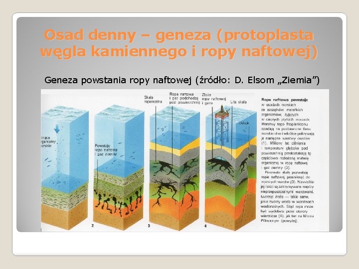 Osad denny – geneza (protoplasta węgla kamiennego i ropy naftowej) Geneza powstania ropy naftowej