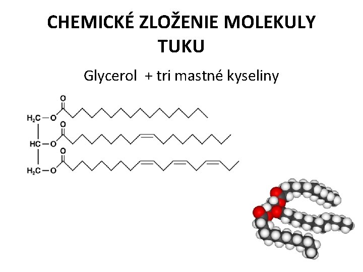 CHEMICKÉ ZLOŽENIE MOLEKULY TUKU Glycerol + tri mastné kyseliny 