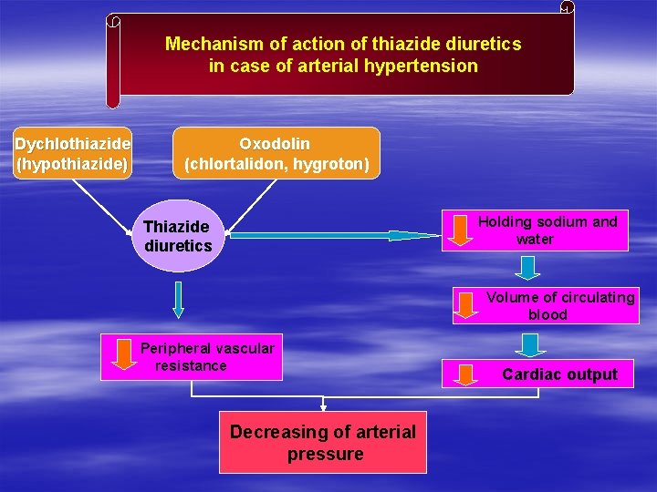 Mechanism of action of thiazide diuretics in case of arterial hypertension Dychlothiazide (hypothiazide) Oxodolin