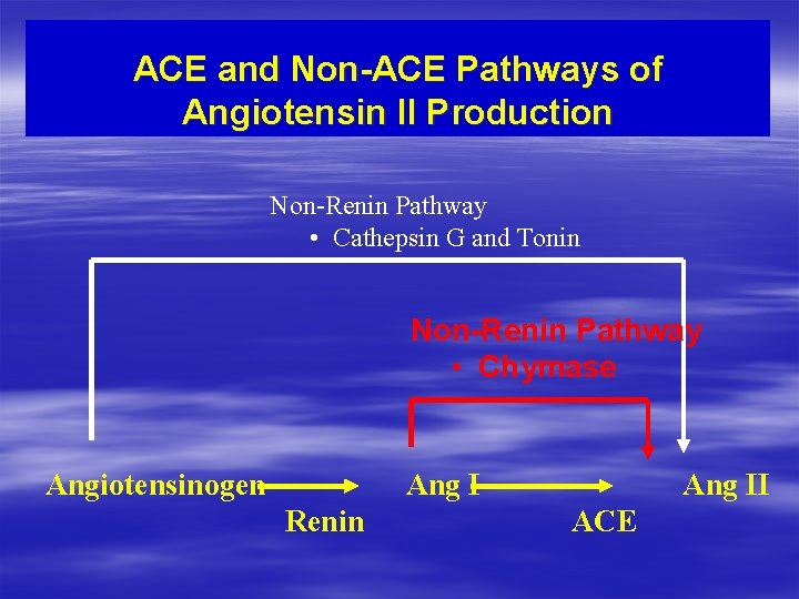 ACE and Non-ACE Pathways of Angiotensin II Production Non-Renin Pathway • Cathepsin G and