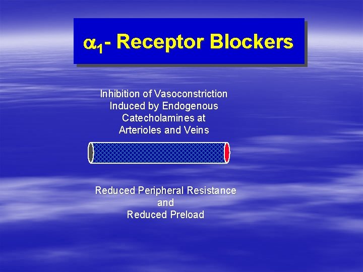 a 1 - Receptor Blockers Inhibition of Vasoconstriction Induced by Endogenous Catecholamines at Arterioles