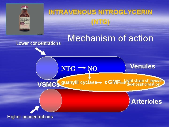 INTRAVENOUS NITROGLYCERIN (NTG) Lower concentrations Mechanism of action NTG VSMCs Venules NO guanylil cyclase