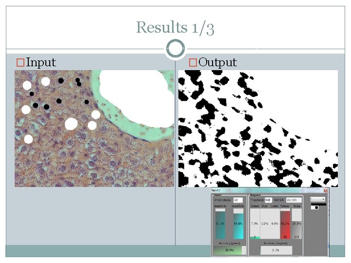 Results 1/3 �Input �Output 