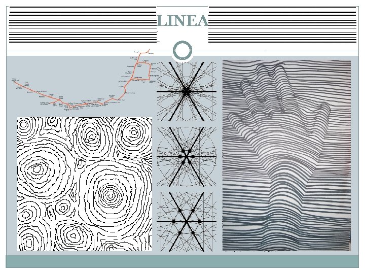 LINEA 