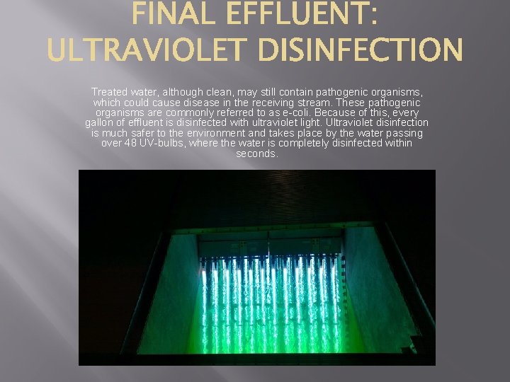 Treated water, although clean, may still contain pathogenic organisms, which could cause disease in