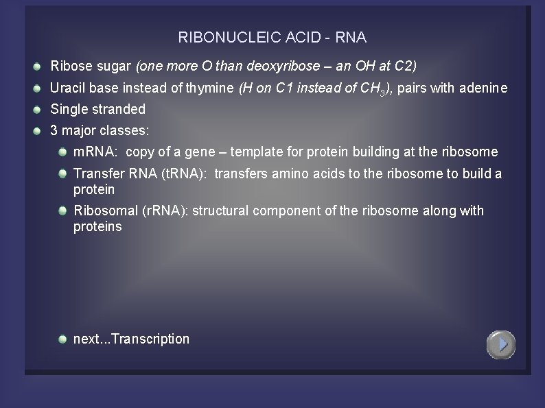 RIBONUCLEIC ACID - RNA Ribose sugar (one more O than deoxyribose – an OH