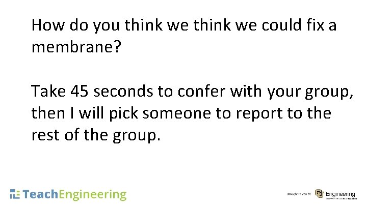 How do you think we could fix a membrane? Take 45 seconds to confer
