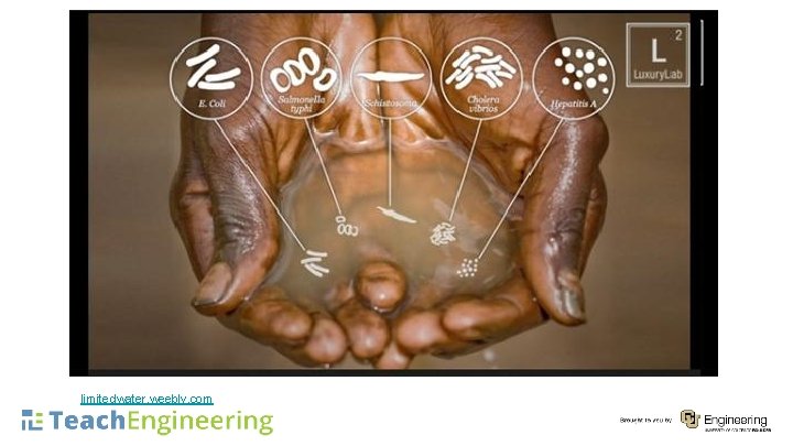 limitedwater. weebly. com 