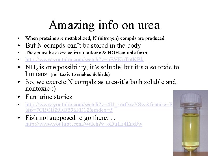 Amazing info on urea • When proteins are metabolized, N (nitrogen) compds are produced