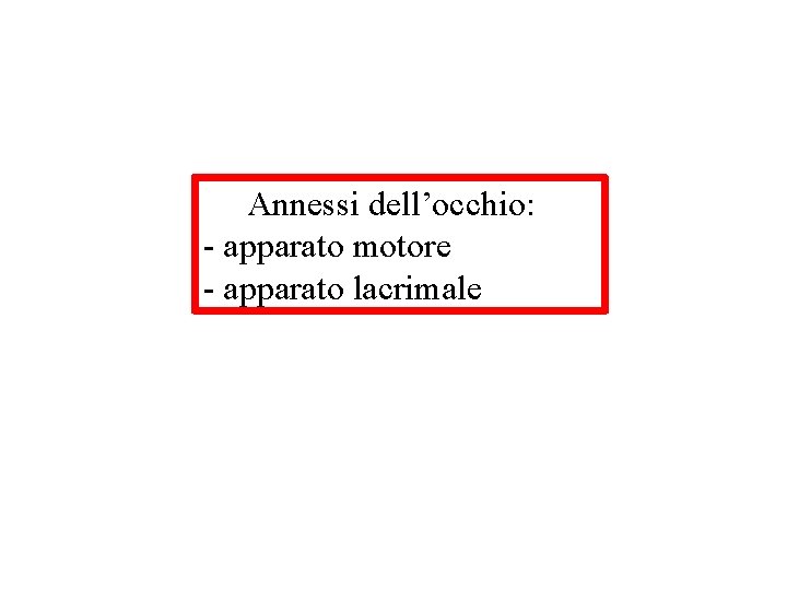 Annessi dell’occhio: - apparato motore - apparato lacrimale 