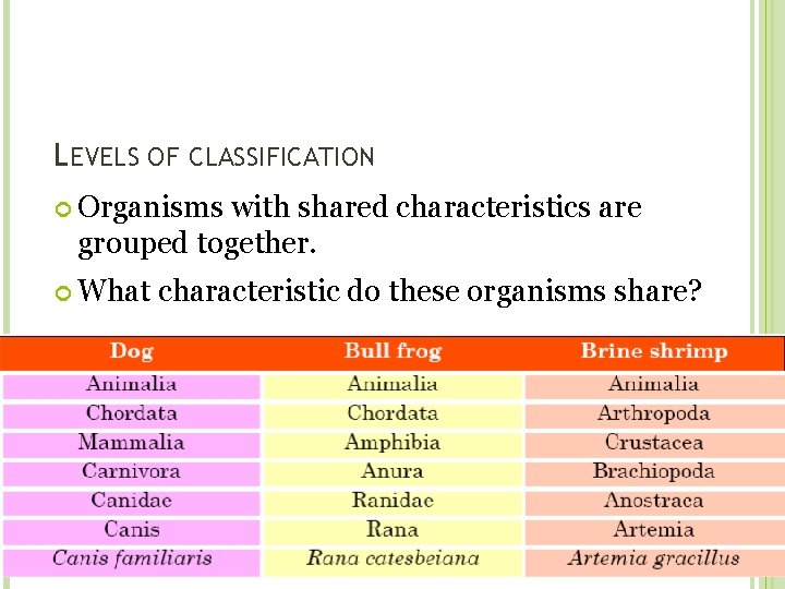 LEVELS OF CLASSIFICATION Organisms with shared characteristics are grouped together. What characteristic do these