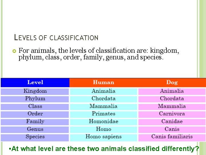 LEVELS OF CLASSIFICATION For animals, the levels of classification are: kingdom, phylum, class, order,
