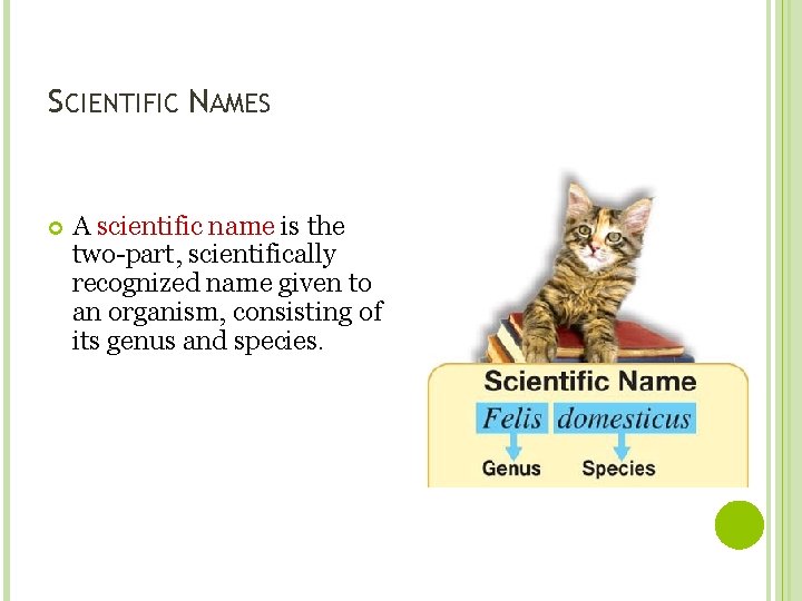 SCIENTIFIC NAMES A scientific name is the two-part, scientifically recognized name given to an