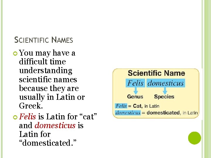 SCIENTIFIC NAMES You may have a difficult time understanding scientific names because they are