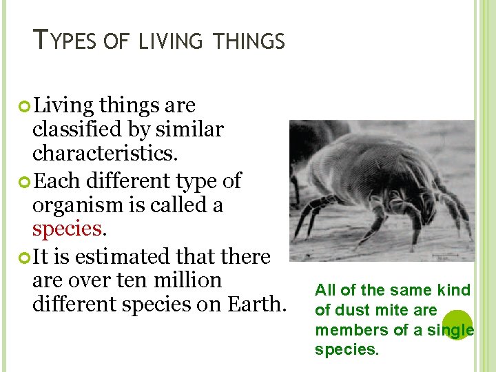 TYPES OF LIVING THINGS Living things are classified by similar characteristics. Each different type