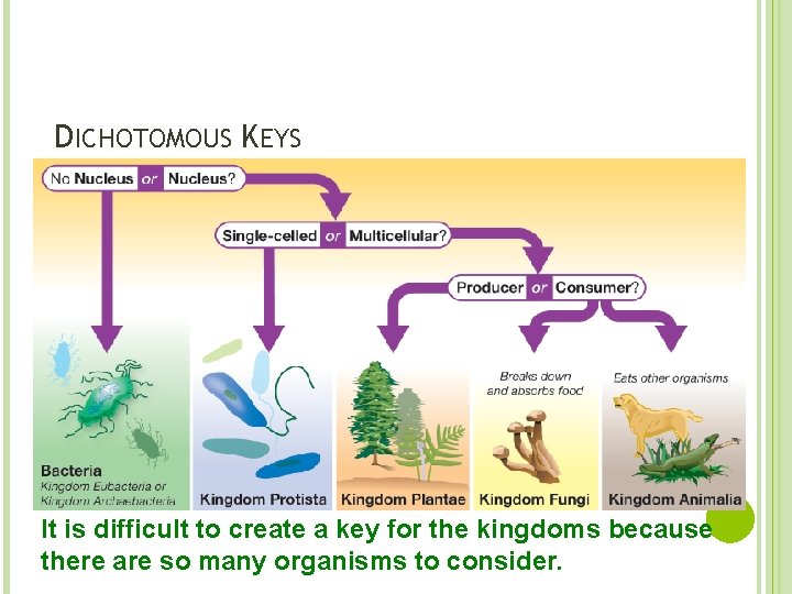 DICHOTOMOUS KEYS It is difficult to create a key for the kingdoms because there