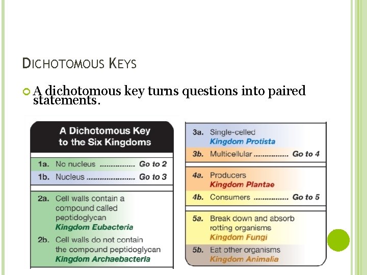 DICHOTOMOUS KEYS A dichotomous key turns questions into paired statements. 