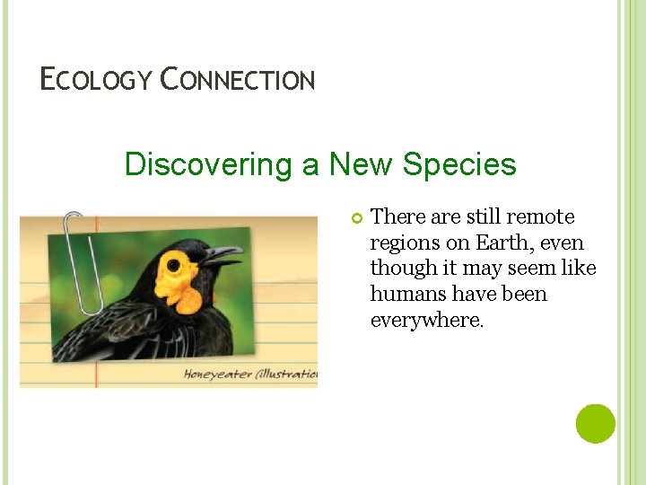 ECOLOGY CONNECTION Discovering a New Species There are still remote regions on Earth, even