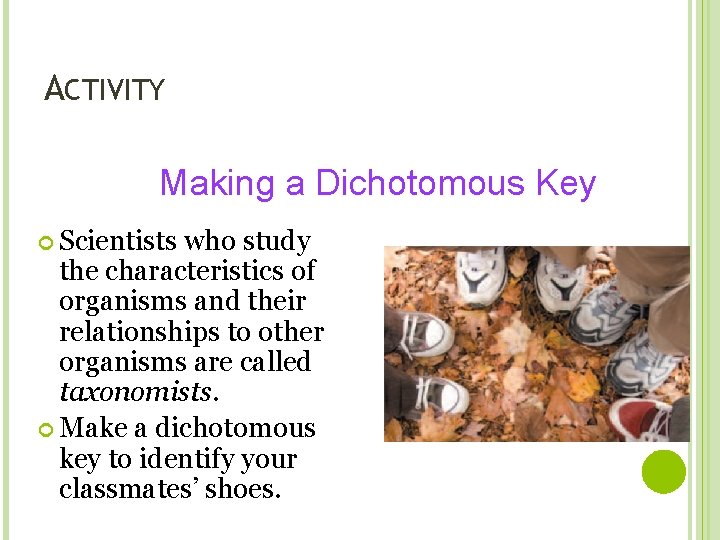 ACTIVITY Making a Dichotomous Key Scientists who study the characteristics of organisms and their