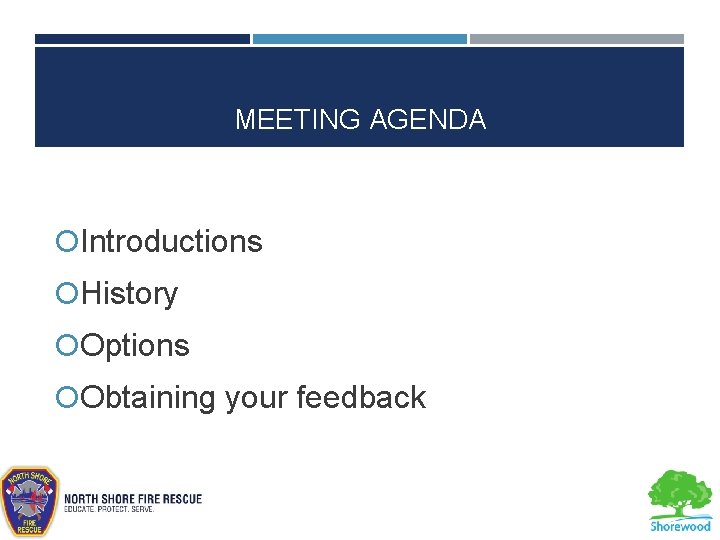 MEETING AGENDA Introductions History Options Obtaining your feedback 