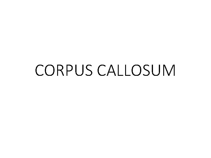 CORPUS CALLOSUM 