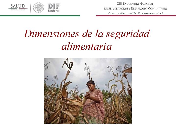 Dimensiones de la seguridad alimentaria 