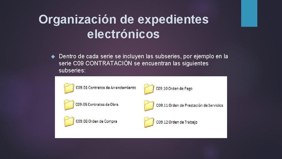 Organización de expedientes electrónicos Dentro de cada serie se incluyen las subseries, por ejemplo