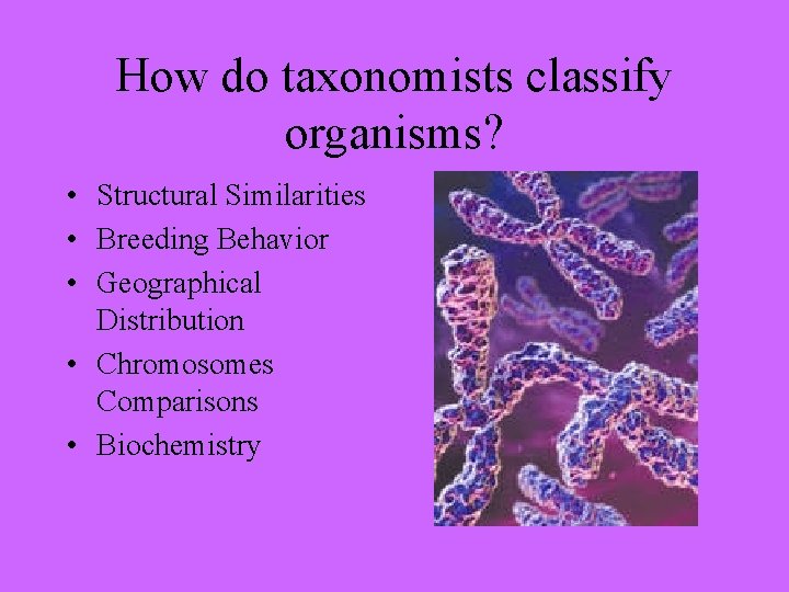 How do taxonomists classify organisms? • Structural Similarities • Breeding Behavior • Geographical Distribution