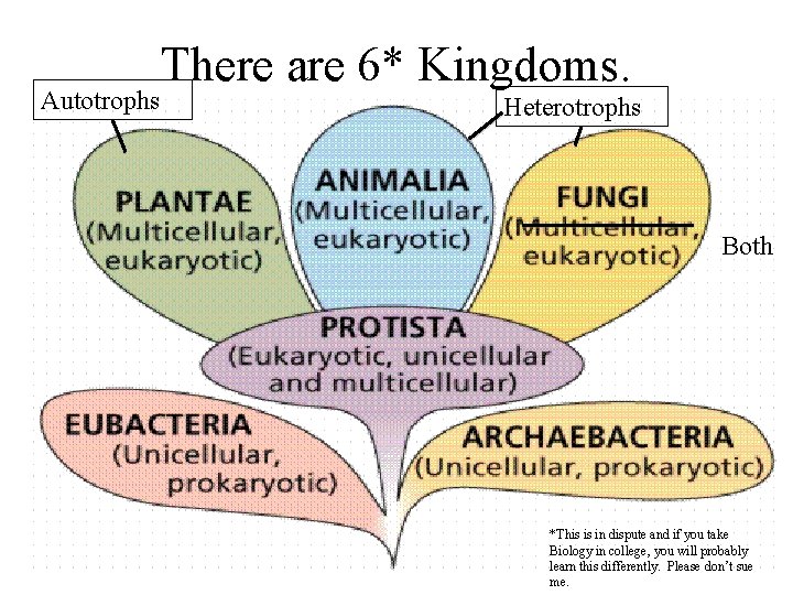 Autotrophs There are 6* Kingdoms. Heterotrophs Both *This is in dispute and if you