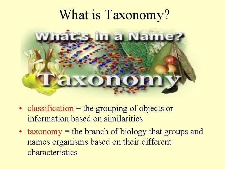 What is Taxonomy? • classification = the grouping of objects or information based on