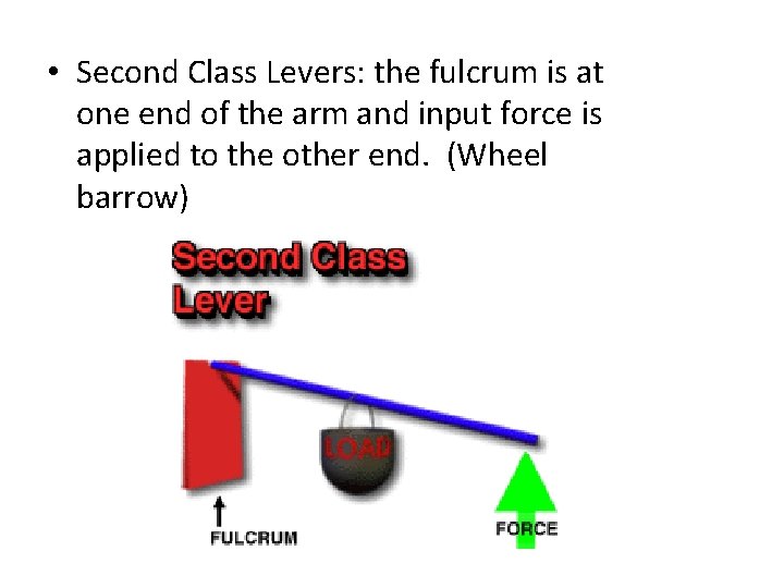  • Second Class Levers: the fulcrum is at one end of the arm