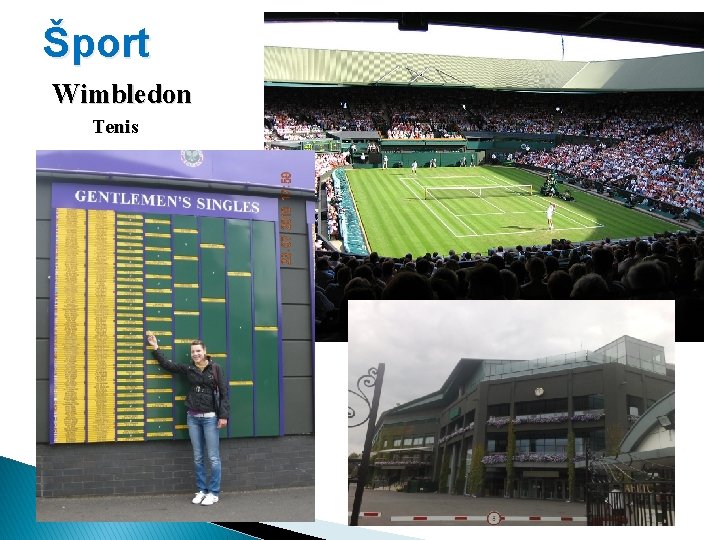Šport Wimbledon Tenis 