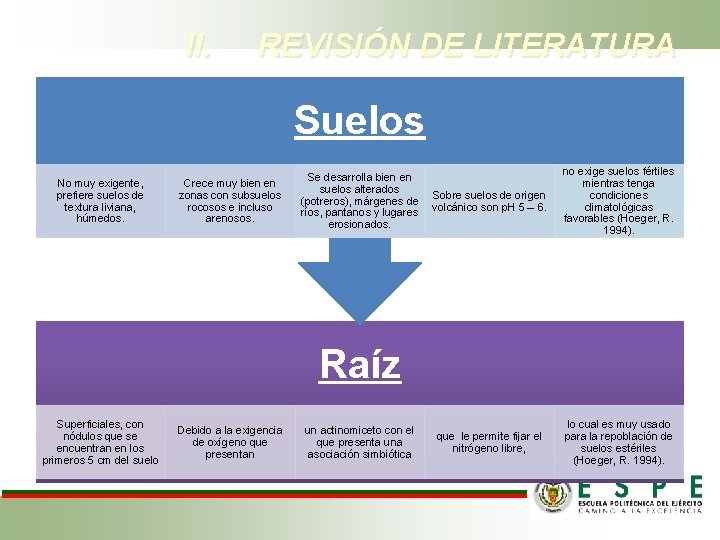 II. REVISIÓN DE LITERATURA Suelos No muy exigente, prefiere suelos de textura liviana, húmedos.