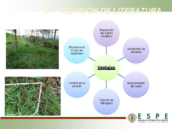 II. REVISIÓN DE LITERATURA Regulación del estrés climático Eficiencia en el uso de nutrientes