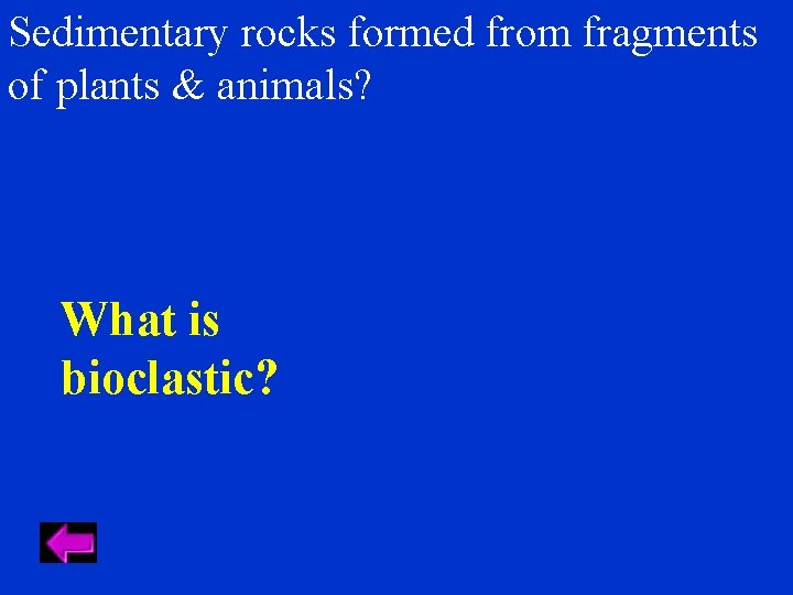 Sedimentary rocks formed from fragments of plants & animals? What is bioclastic? 