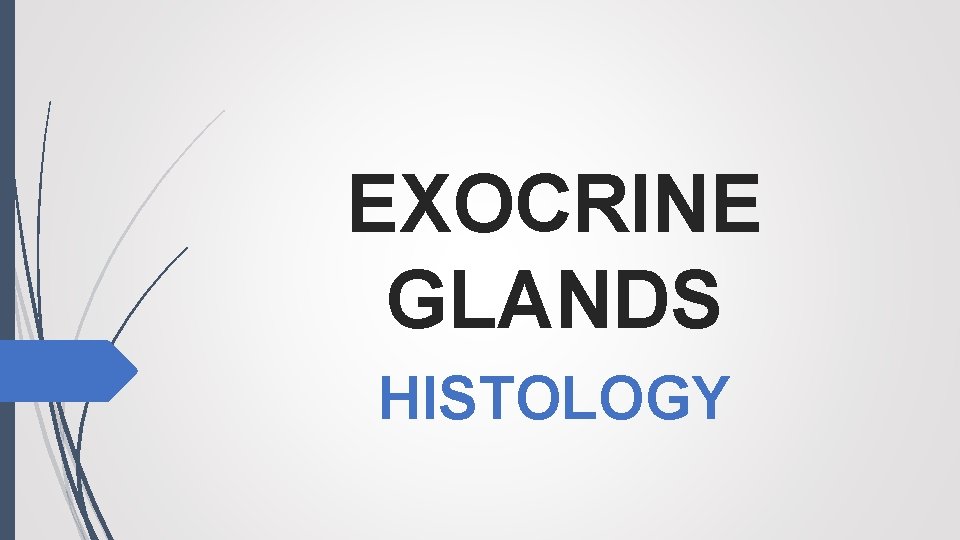 EXOCRINE GLANDS HISTOLOGY 